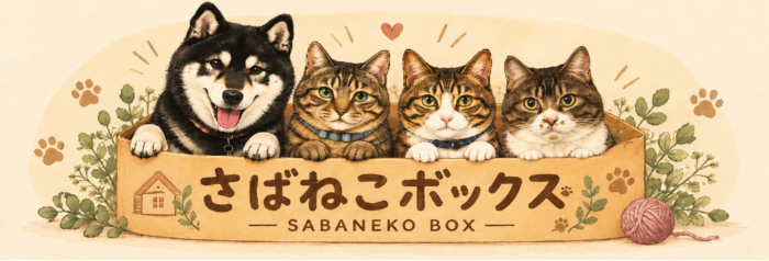 さばねこボックス